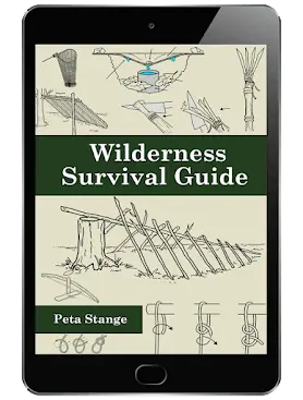 forager's guide