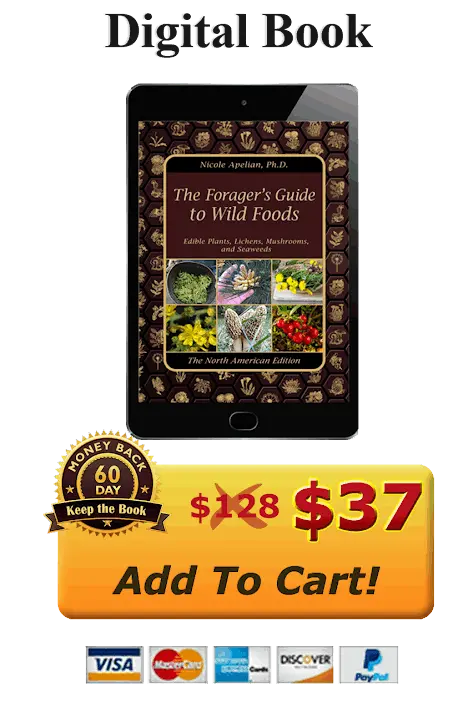 the forager's guide to wild foods