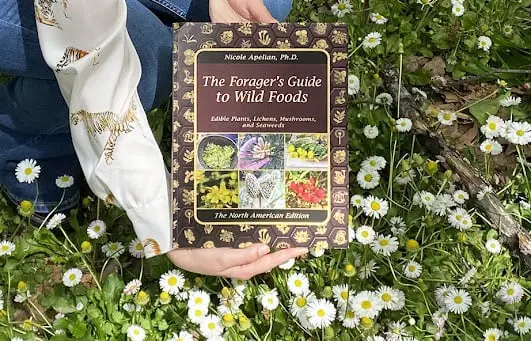 the forager's guide to wild